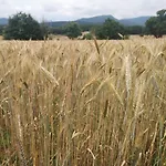Masoveria De Cal Sastre カントリーハウス