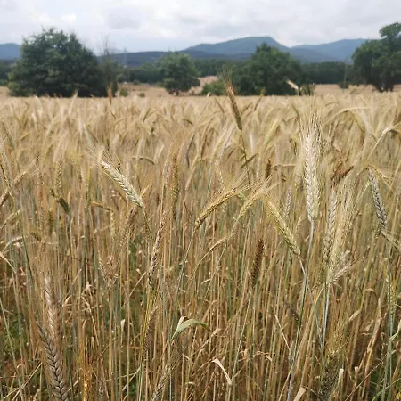 Masoveria De Cal Sastre Casa rural