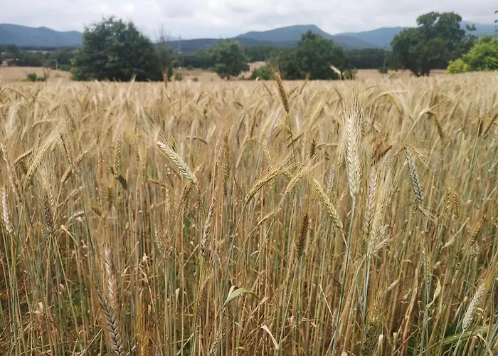 Masoveria De Cal Sastre Venkovský dům